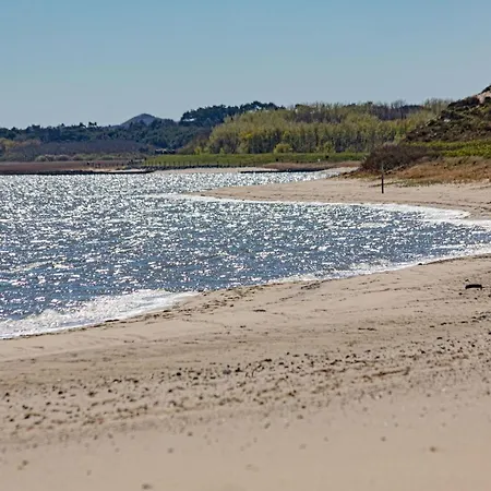 Fischers Koje * List