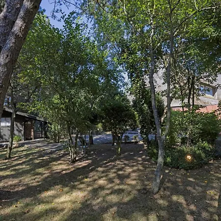 Fischers Koje * List