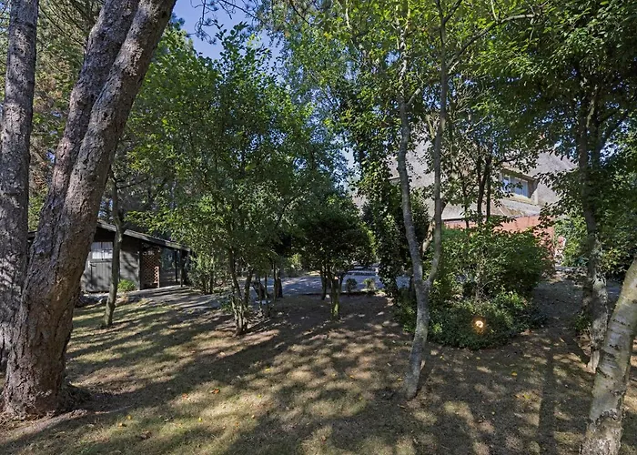 Fischers Koje * List